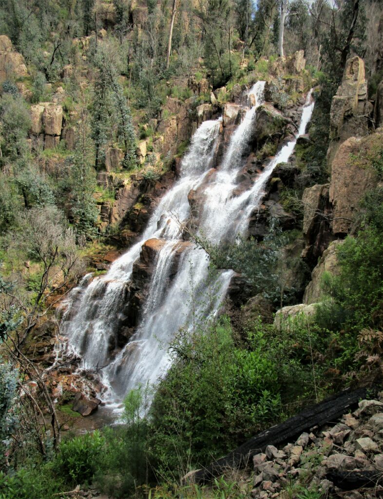 Bluff Creek Nature Trail - Victoria's High Country