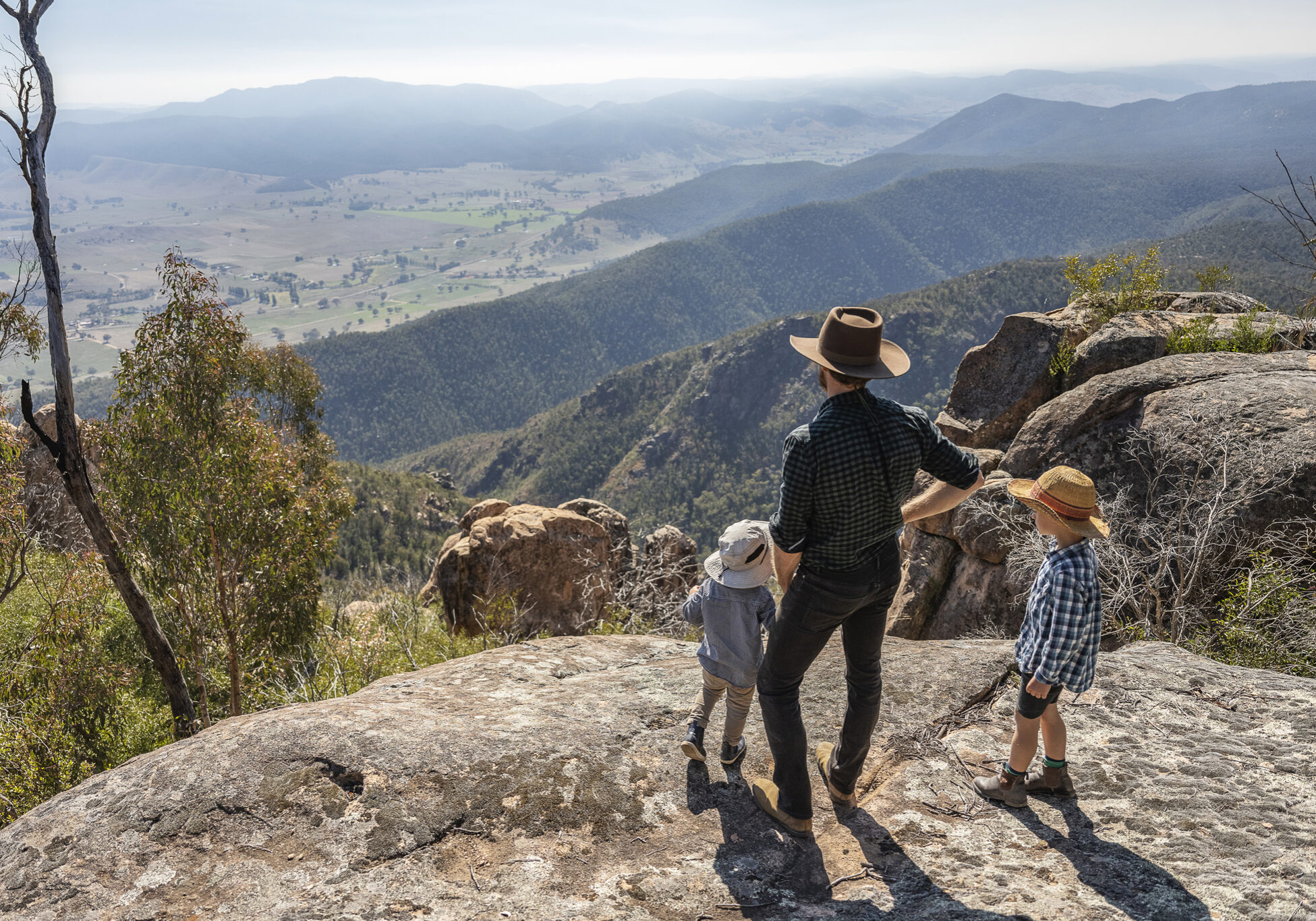 FalconLookout139