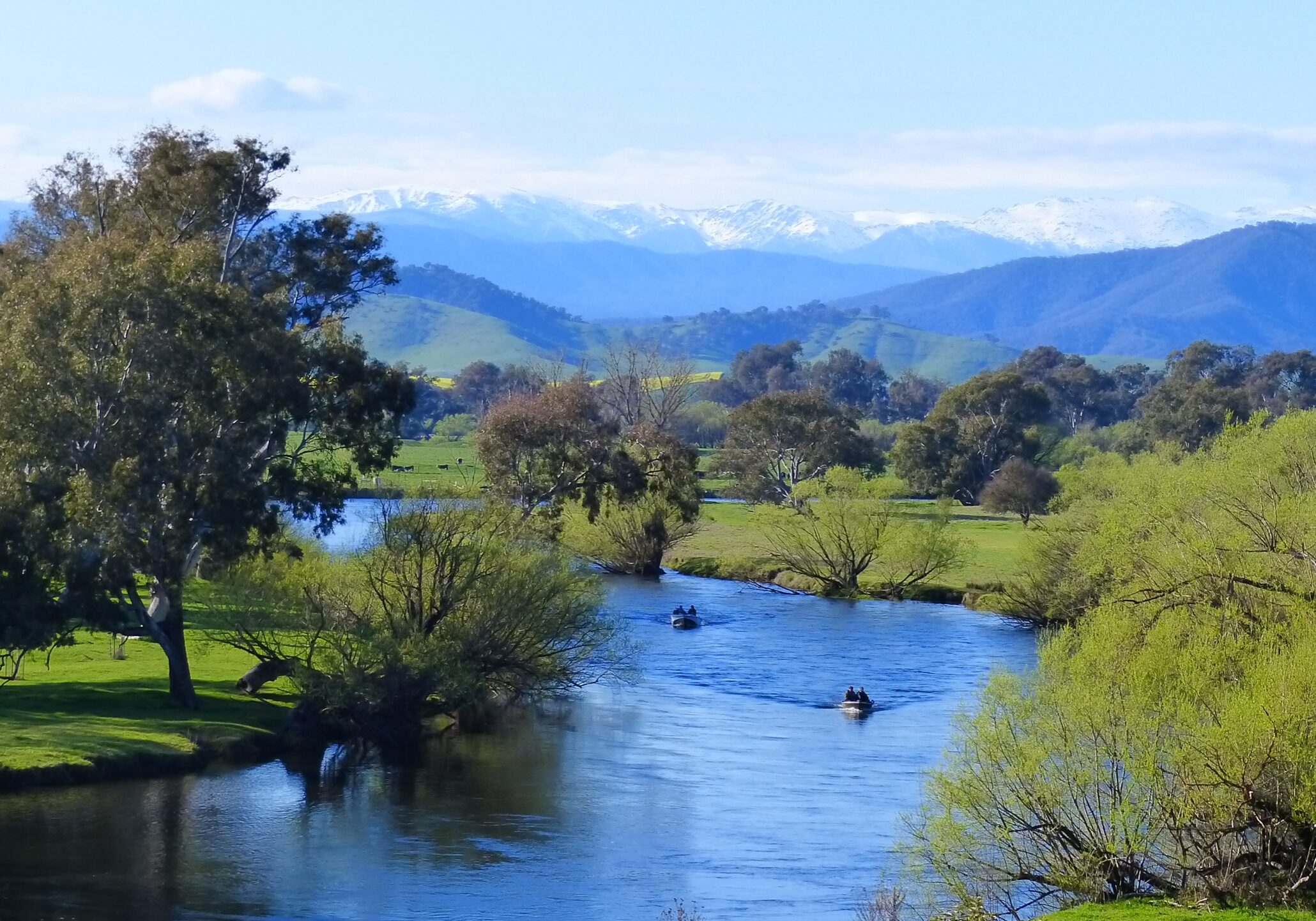 Murray-River-Towong-boats