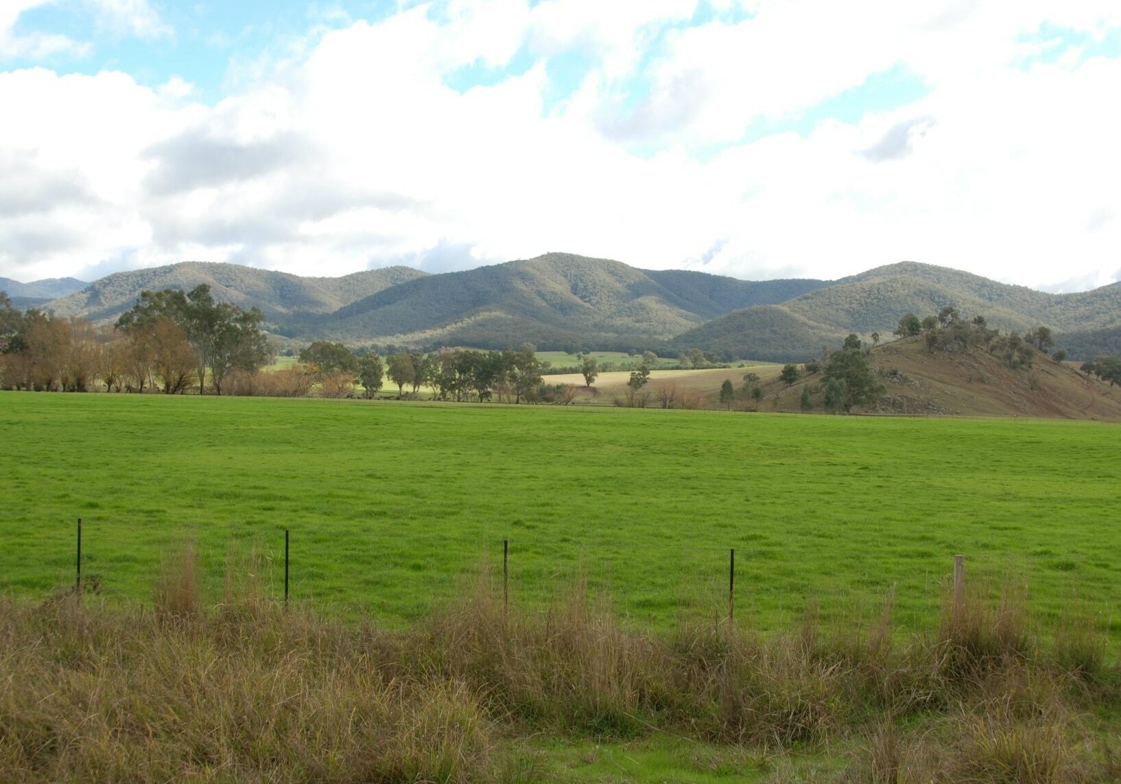 Nature-Views-Summer-Cudgewa-16x9