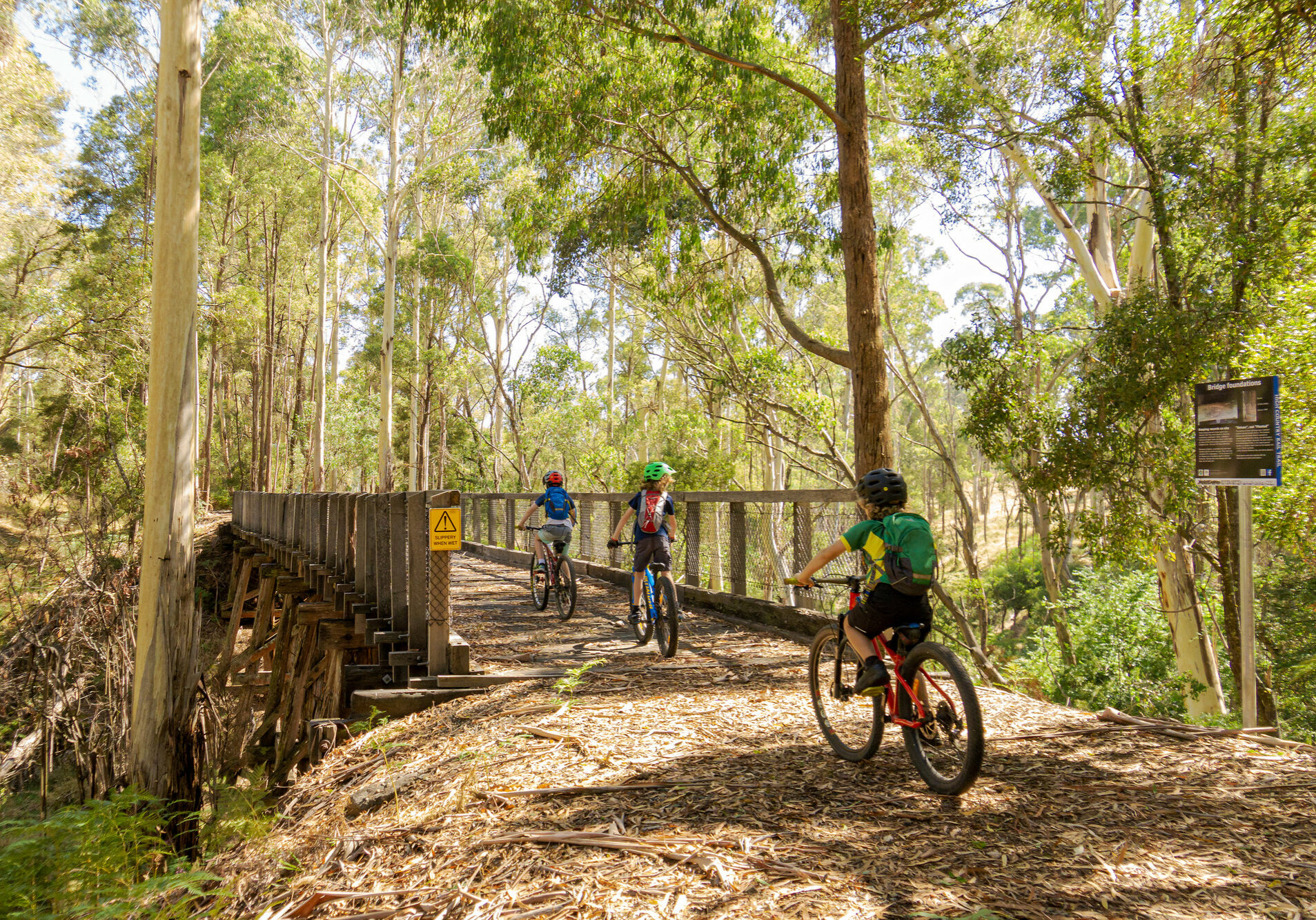 High Country Rail Trail - Shelley Station to Tallangatta