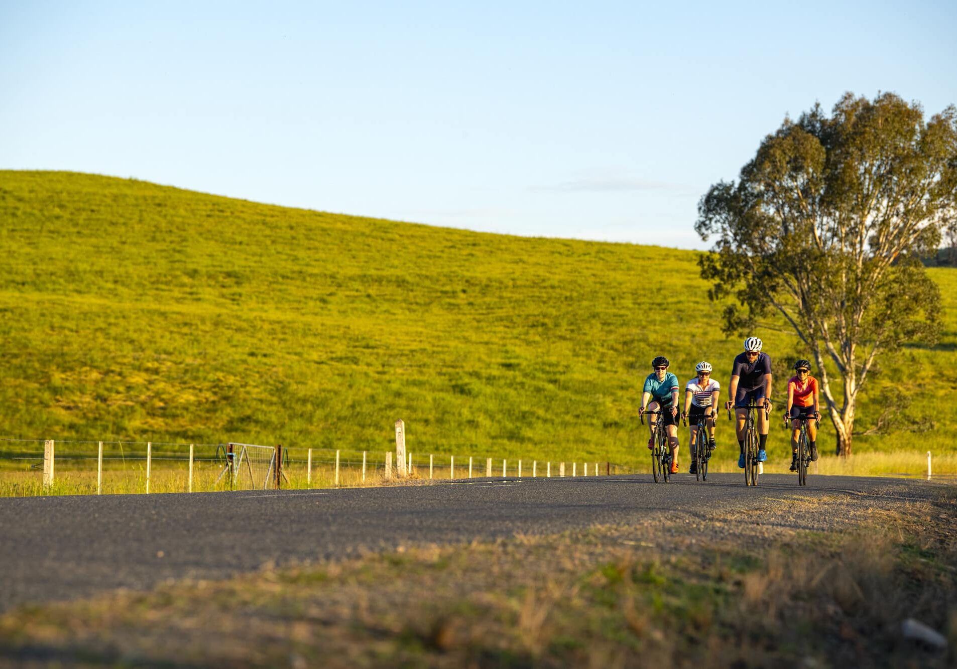 Cyclists riding down Cudgewa Valley Rd past rolling hills