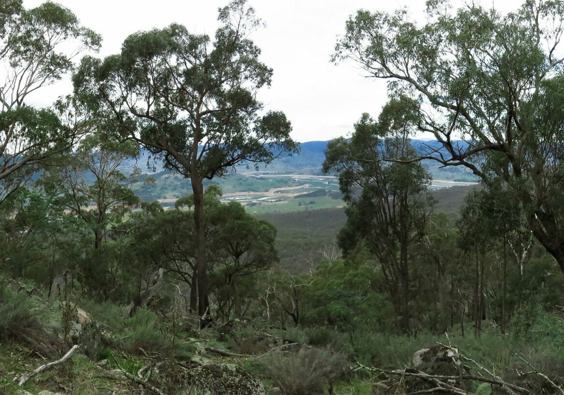 Mount Granya State Park