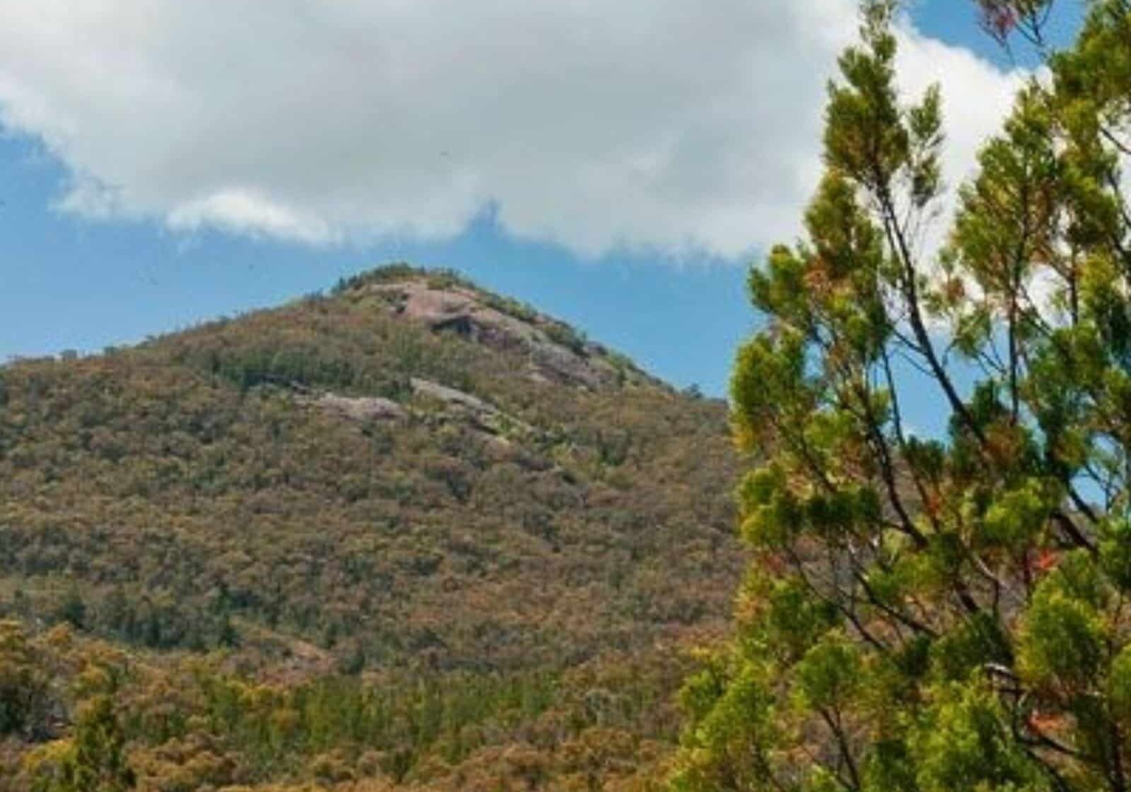 Burrowa-Pine Mountain National Park