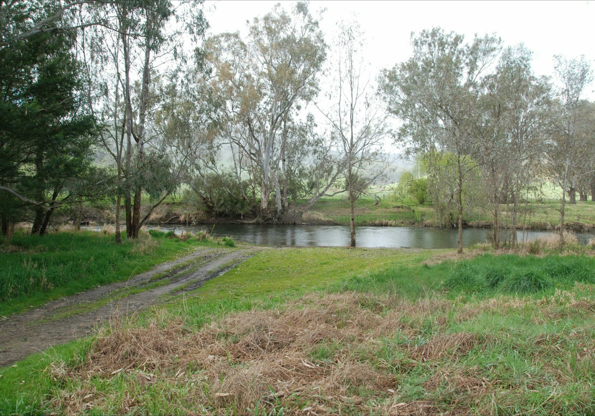 Pigs Point Streamside Reserve