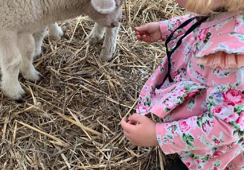 Corryong Show