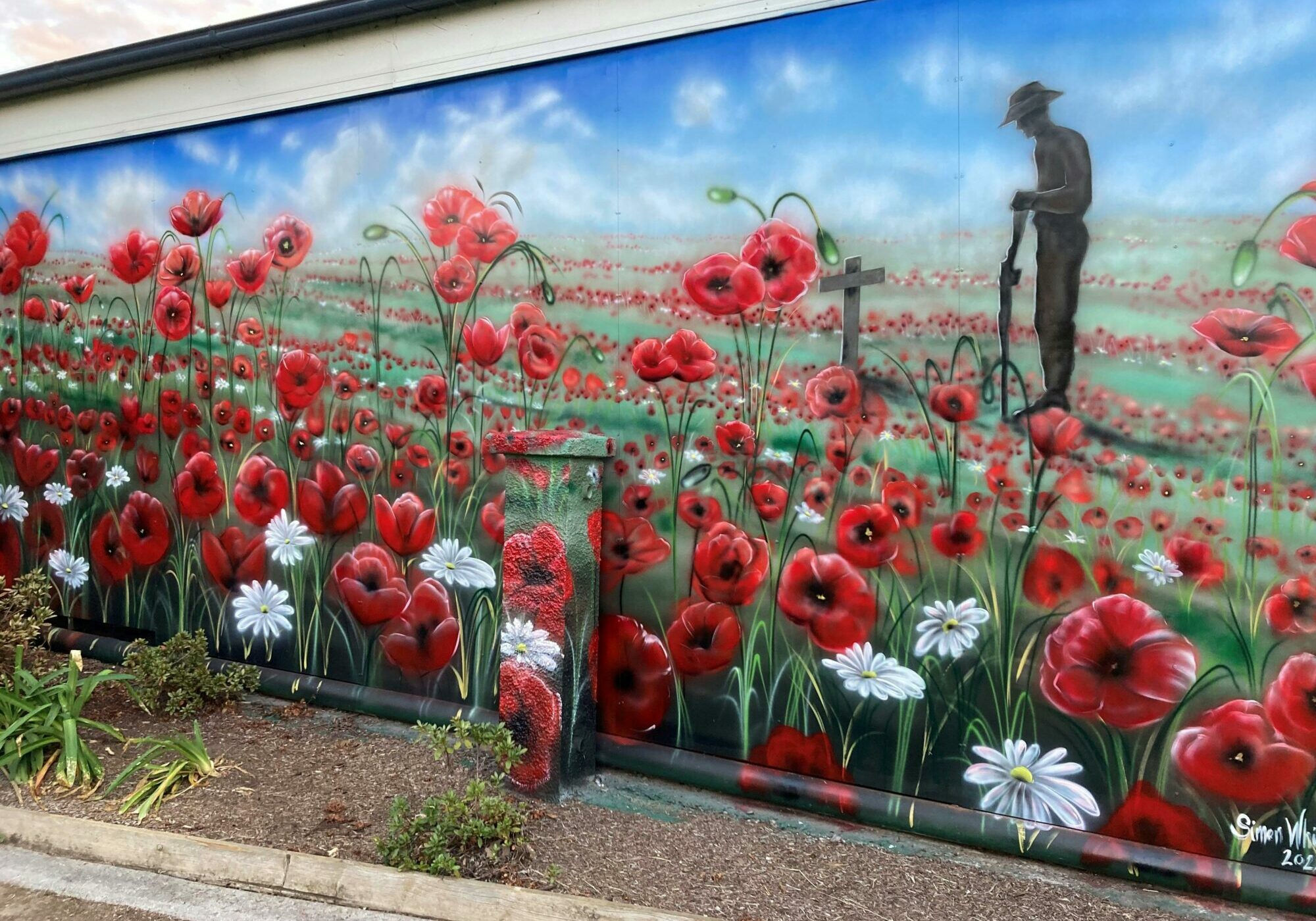 Poppies for Anzac and Everyone