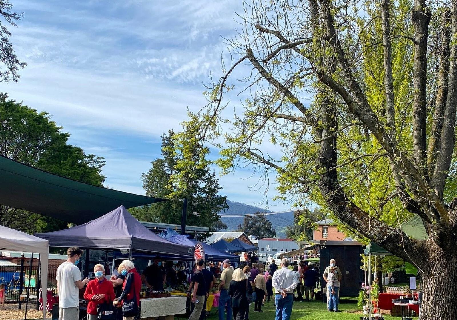 Upper Murray Farmers Market