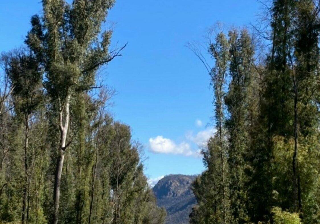 Pine Mountain Walking Track